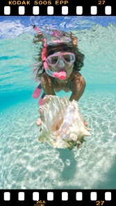 dominican republic travel guide
