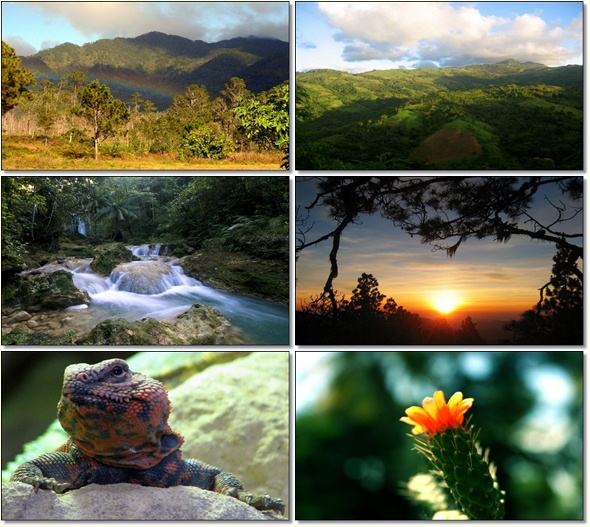 ecosystem of national parks in DR