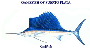 gamefish