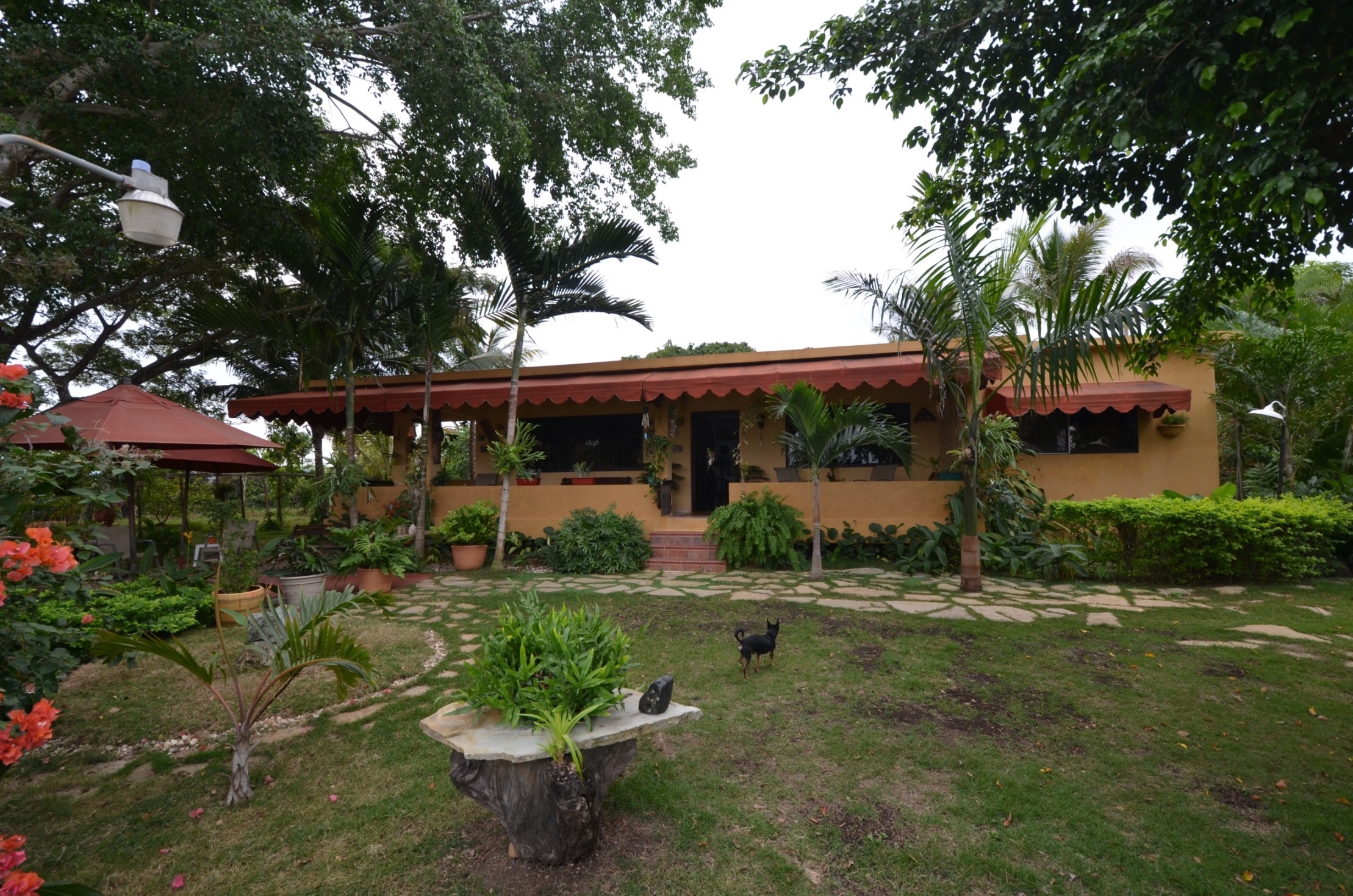 3 Bedroom Country Side House For Sale in Puerto Plata