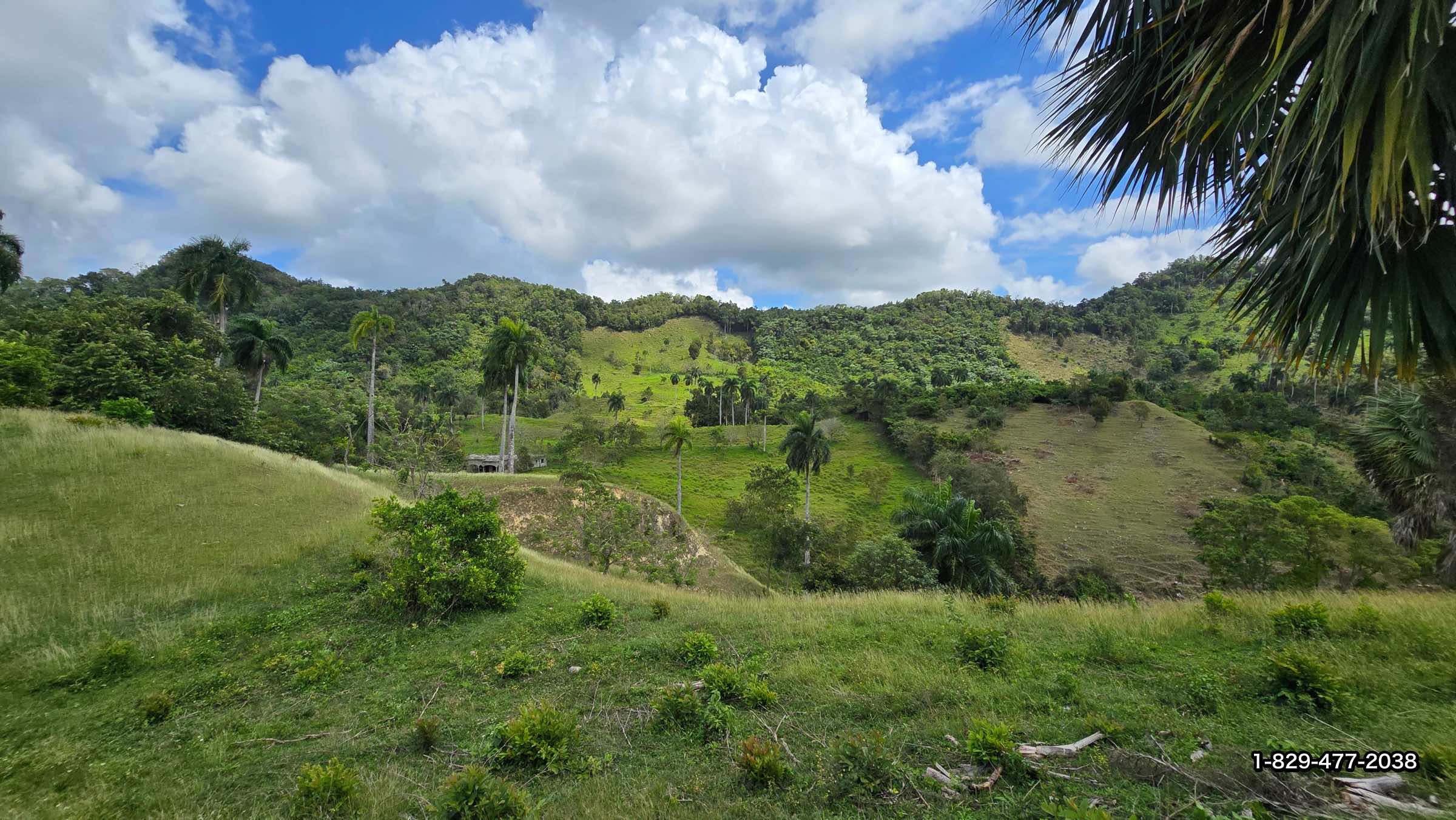 Puerto Plata Farm Land Sale River, Mountain Views